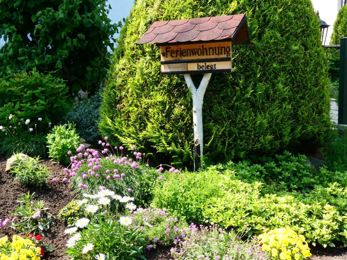 Ferienwohnung Grunwald Kurort Rathen Exteriör bild